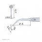 Preview: ED11D Endo Spitze technische Abmessung